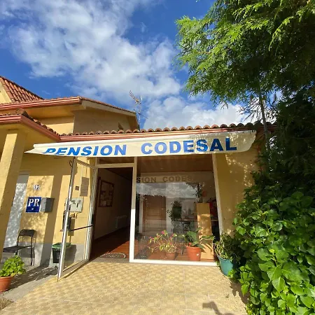 Codesal Хостел Педрусо