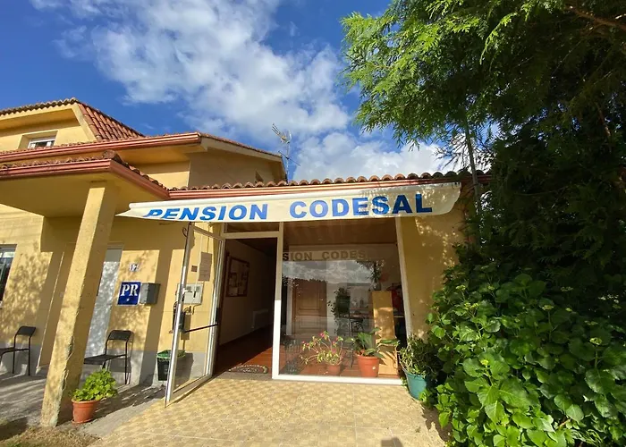 Codesal Хостел Педрусо